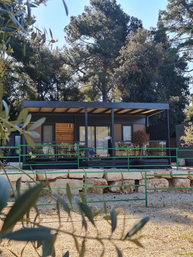 Luxury Mobile Homes Ivaci *